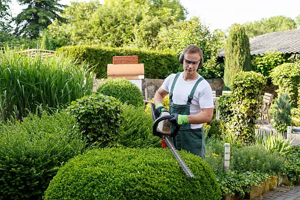 Image 1 Landscape Gardeners Perth 3