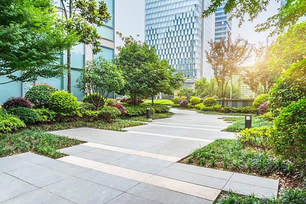 Cost-Effective Commercial Landscaping Upgrades