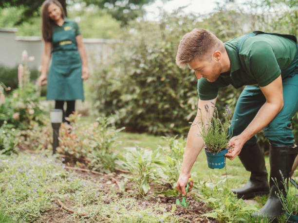 cgm 5 Signs It’s Time to Upgrade Your Commercial Garden Maintenance Service in Perth 1