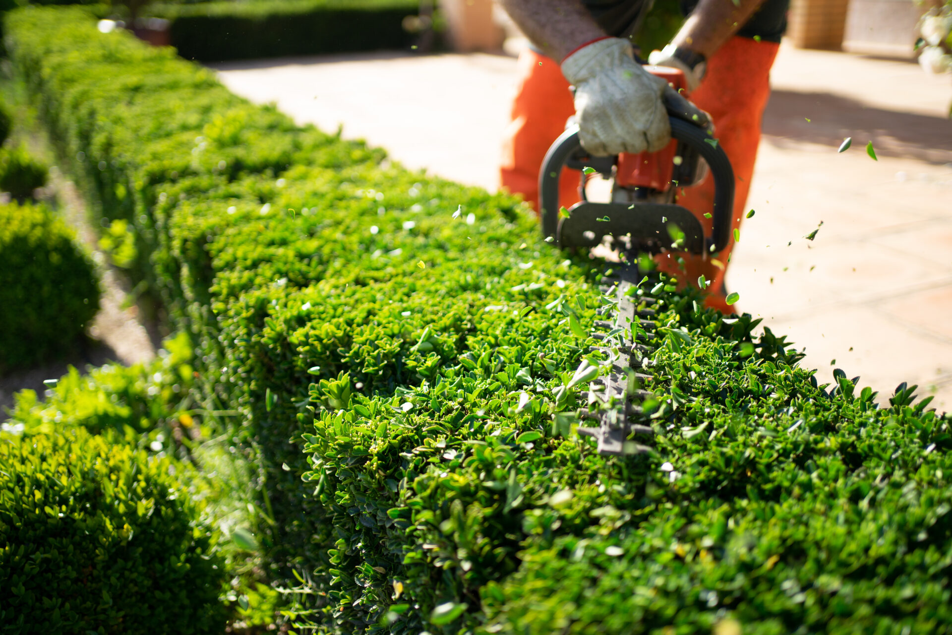 AdobeStock 534348982 Why Perth Businesses Should Invest in Year-Round Garden Maintenance Services 1