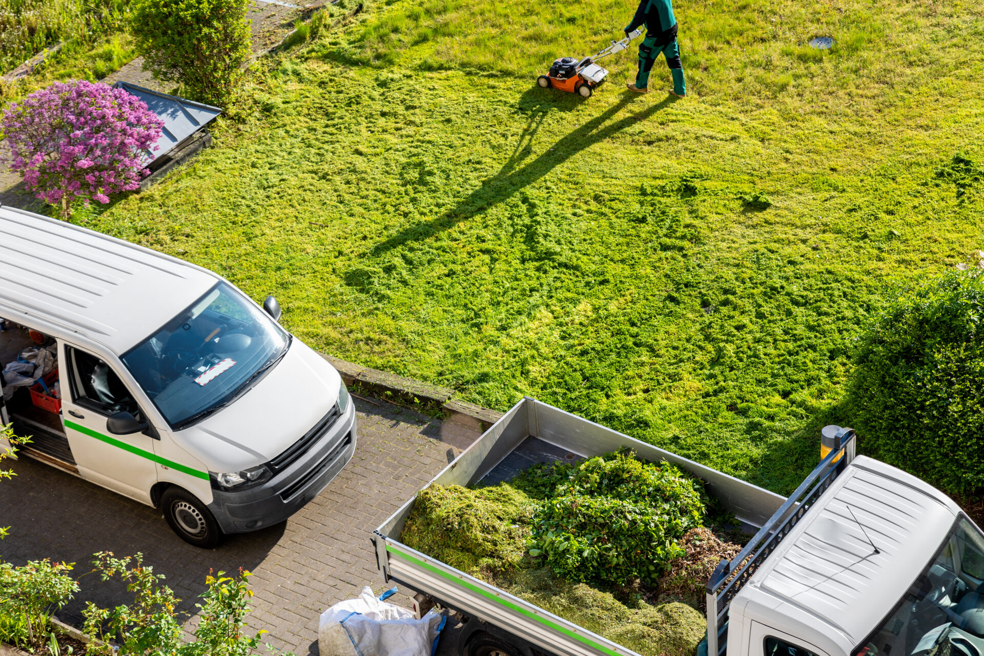 AdobeStock 607820386 How Professional Garden Maintenance Can Extend the Lifespan of Your Commercial Landscape 3
