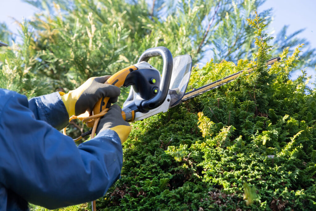 AdobeStock 1541240287 Choosing the Right Commercial Garden Maintenance Contractor for Your Business 6 AdobeStock 1541240287 Choosing the Right Commercial Garden Maintenance Contractor for Your Business 5