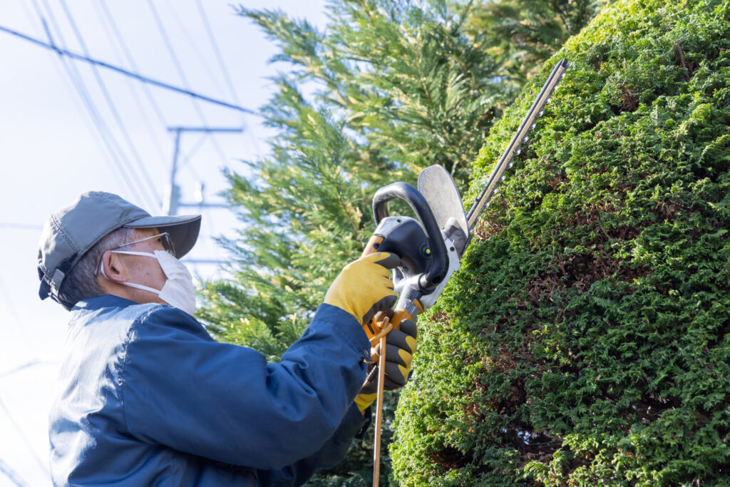 AdobeStock 1541242279 Choosing the Right Commercial Garden Maintenance Contractor for Your Business 4 AdobeStock 1541242279 Choosing the Right Commercial Garden Maintenance Contractor for Your Business 3