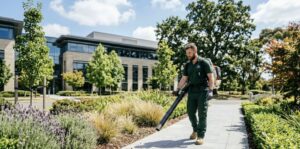 Image 20 4 2026 at 3.40 pm Blog 3