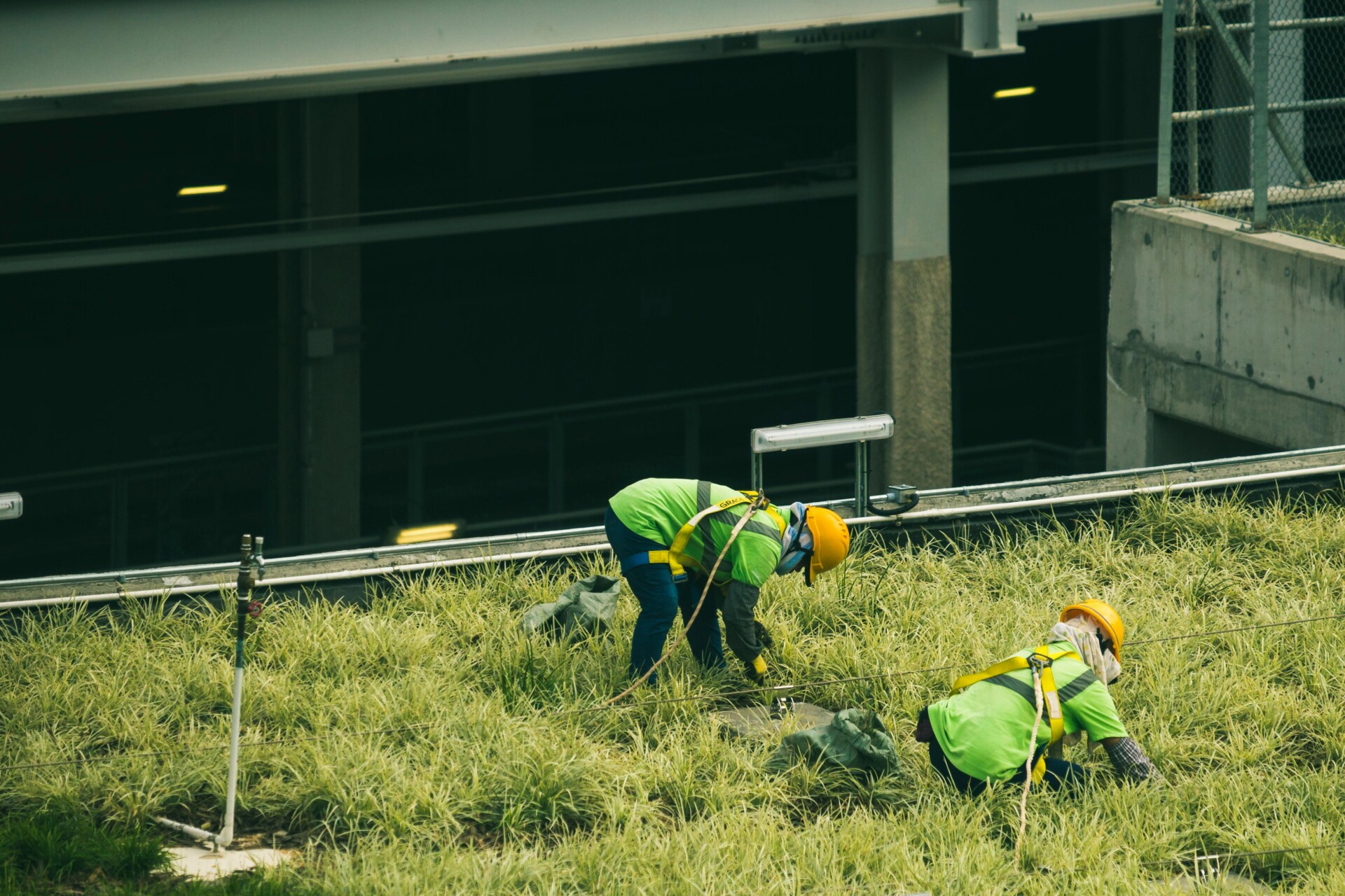 pexels jimbear 1633415 How Contractors Manage Large-Scale Commercial Landscaping Projects 1