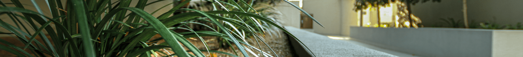 P9A4445-2-p4msdyjzlhi3qepu5ld4wlpqqjo3l1vulws60h6dug-min